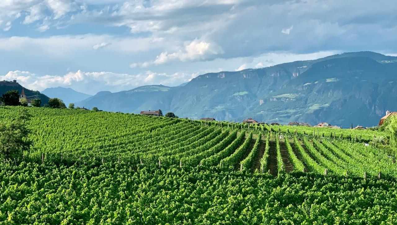 Weingut Gasshof Appiano Sulla Strada Del Vino Exterior foto