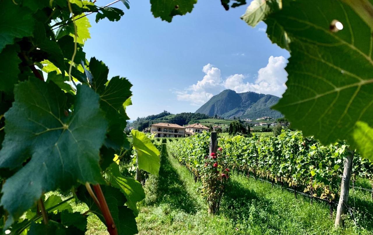 Weingut Gasshof Appiano Sulla Strada Del Vino Exterior foto